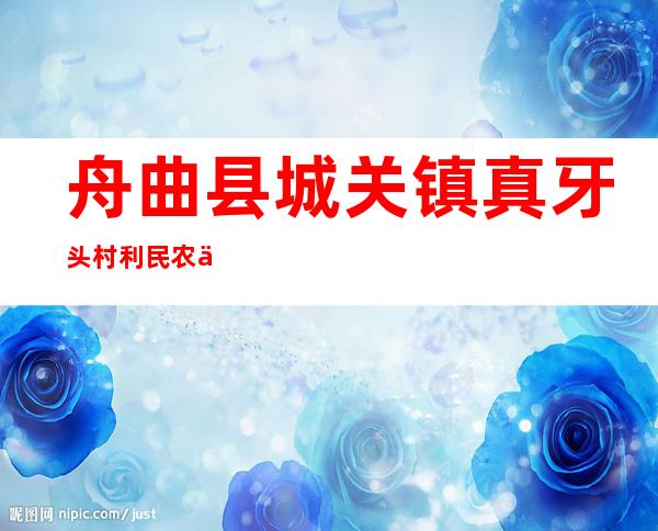 舟曲县城关镇真牙头村利民农产品加工农民专业合作社